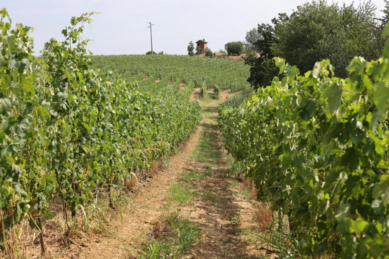 Braida Wine Resort Rocchetta Tanaro Dış mekan fotoğraf
