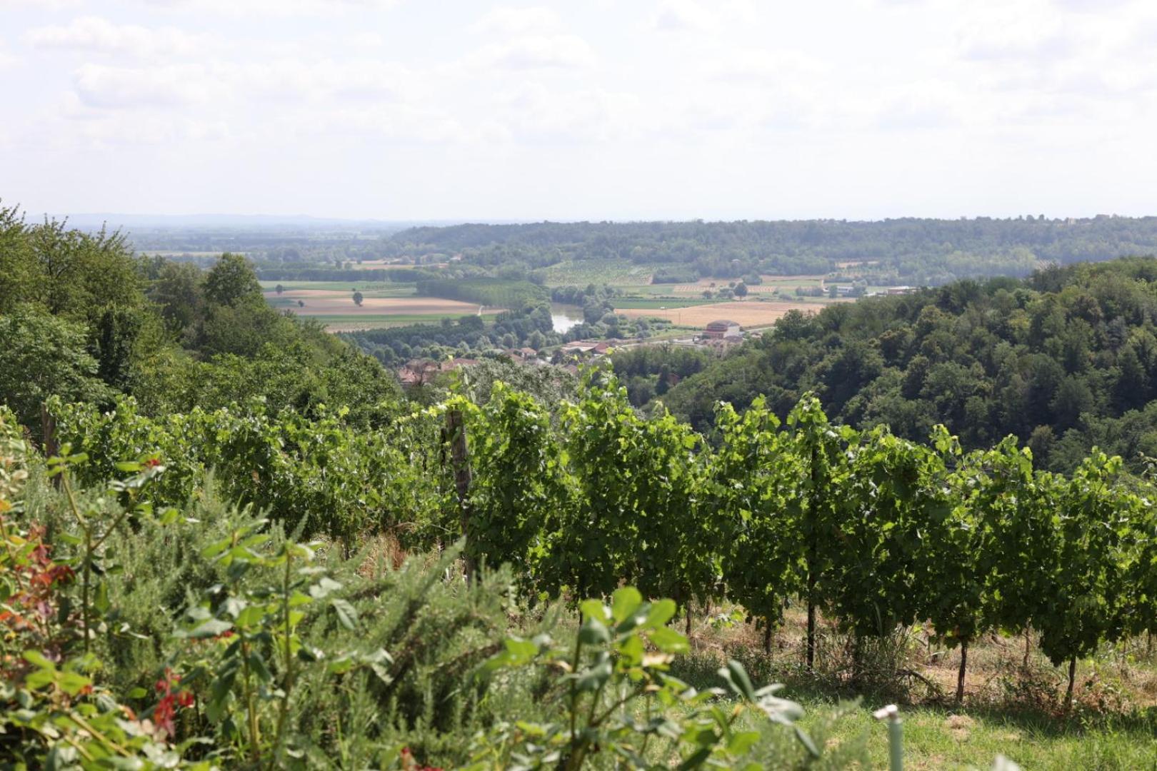 Braida Wine Resort Rocchetta Tanaro Dış mekan fotoğraf